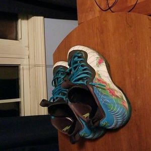 Foamposite pro weatherman